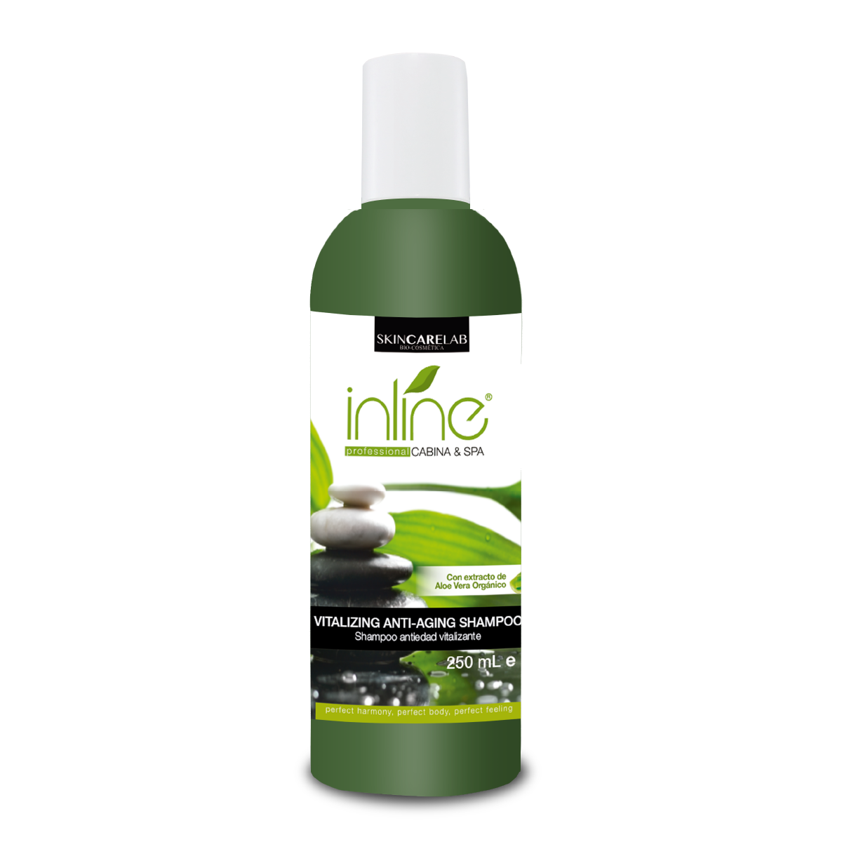 Shampoo Antiedad Revitalizante